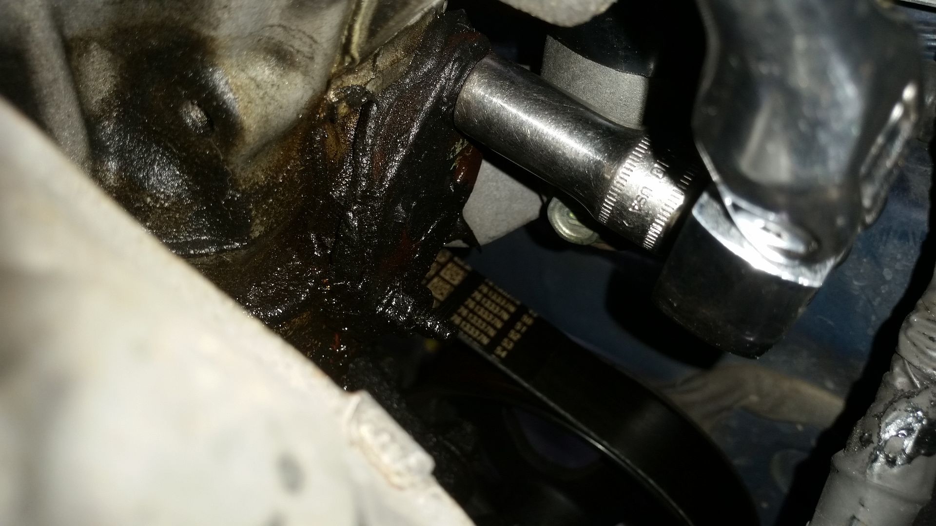 Pontiac Vibe Timing Belt